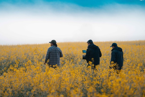 Crew walking through a yellow field on a commercial shoot